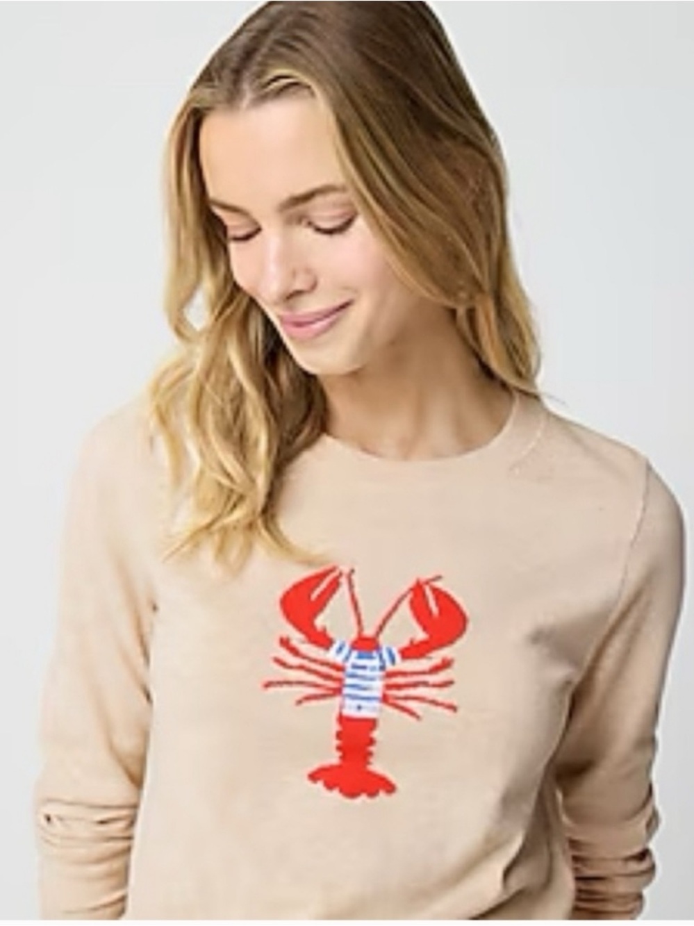 J. Crew Teddie Crewneck Lobster Small 100% Cotton Sweater in Light Beige